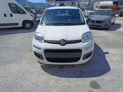 Fiat Panda Panda 1.2 Easy 69cv E6 Bianco usata Mezzocorona