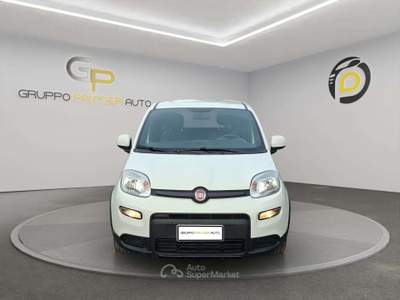 Fiat Panda Panda III 2021 1.0 firefly hybrid Sport s Bianco usata Pompei