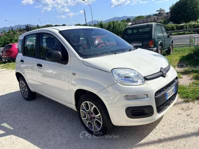 Fiat Panda metano usata Terni