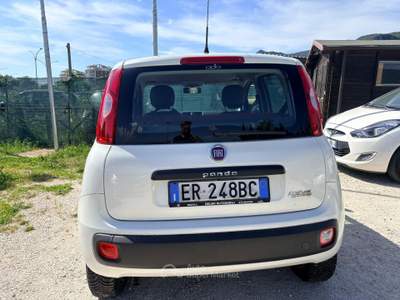 Fiat Panda metano usata Terni