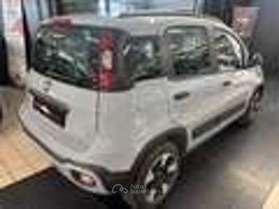 Fiat Panda FireFly S&S Hybrid City Cross Grigio usata Torino