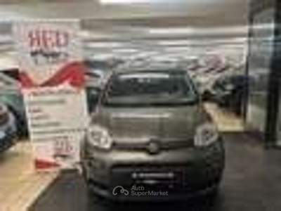 Fiat Panda FireFly S&S Hybrid City Life Grigio usata Torino Fiat Panda FireFly S&S Hybrid City Life Grigio usata Torino