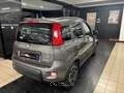 Fiat Panda FireFly S&S Hybrid City Life Grigio usata Torino