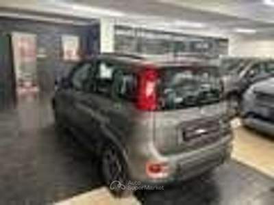 Fiat Panda FireFly S&S Hybrid City Life Grigio usata Torino