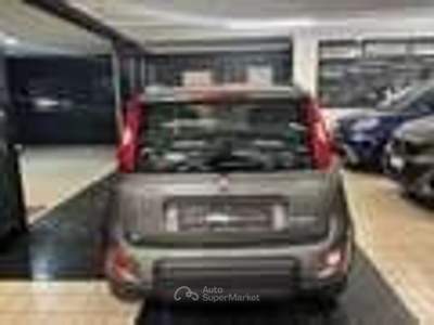 Fiat Panda FireFly S&S Hybrid City Life Grigio usata Torino