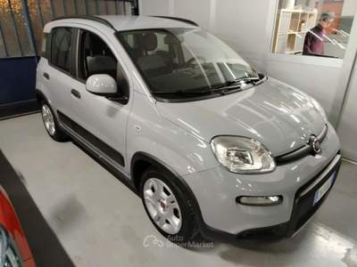 Fiat Panda 1.0 FireFly S&S Hybrid City Life Grigio usata Cesena