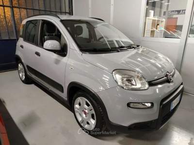 Fiat Panda 1.0 FireFly S&S Hybrid City Life Grigio usata Cesena