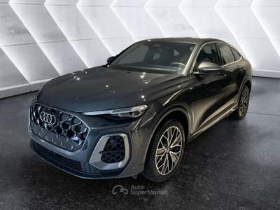 Audi Q5 Q5 SPB TDI 150 kW mHEV+ S tronic quattro S line edition Grigio usata Palermo