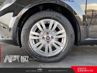 Fiat Punto Punto 1.2 Street 5p E6 Nero usata Carrara