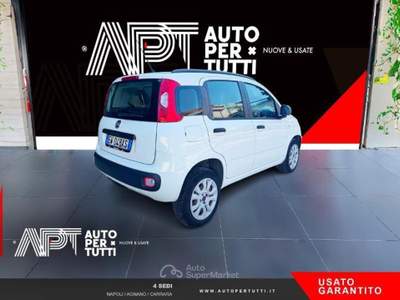 Fiat Panda Panda 0.9 t.air t. natural power Easy 80cv E5+ Bianco usata Carrara
