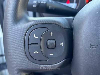 Fiat Panda My24 1.0 70cv Hybrid Panda Bianco usata Roma