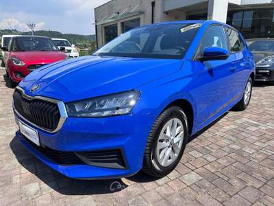 Skoda Fabia 1.0 MPI 80cv. Ambition Blu/Azzurro usata Torre de' Roveri