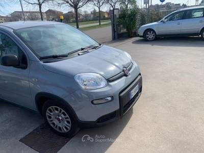Fiat Panda 1.0 FireFly S&S Hybrid Blu/Azzurro usata Asigliano Veneto