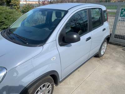 Fiat Panda 1.0 FireFly S&S Hybrid Blu/Azzurro usata Asigliano Veneto