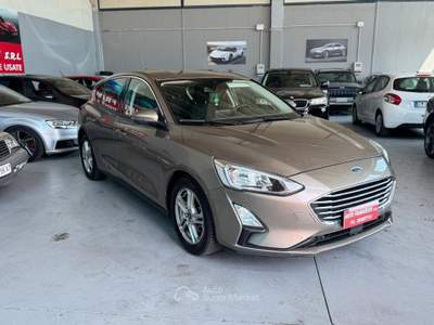 Ford Focus EcoBlue 120 CV 5p. Business usata POVIGLIO