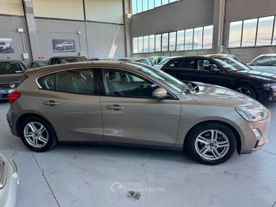 Ford Focus EcoBlue 120 CV 5p. Business usata POVIGLIO