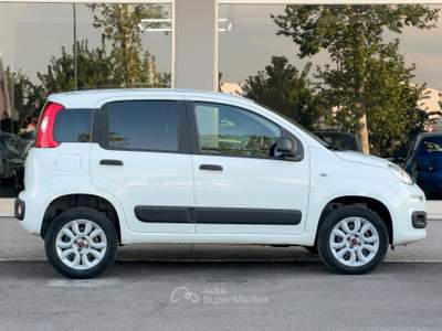 Fiat Panda BENZINA 4x4 Van 2 POSTI usata Paese