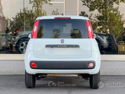 Fiat Panda BENZINA 4x4 Van 2 POSTI usata Paese