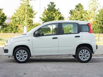 Fiat Panda 0.9 Benzina Metano usata Paese