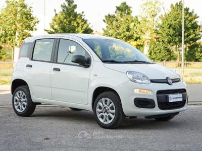 Fiat Panda 0.9 Benzina Metano usata Paese
