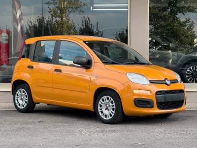 Fiat Panda FireFly S&S Hybrid usata Paese