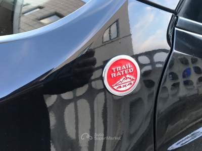 Jeep Renegade 4WD Active Drive Low T usata Pianezza