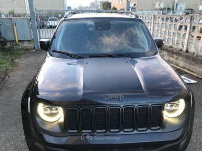 Jeep Renegade 4WD Active Drive Low T usata Pianezza