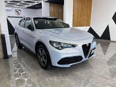 Alfa Romeo Stelvio Stelvio 2023 2.2 turbo rwd 160cv auto Grigio usata Albano Laziale
