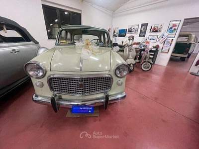 Fiat Panda 1100 codine 1959 usata Arezzo