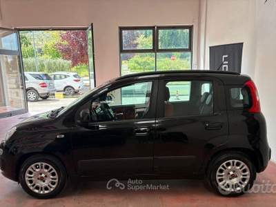 Fiat Panda Serie3 benz.1.2 CV69 per NEOPATENTATI K usata Montelabbate