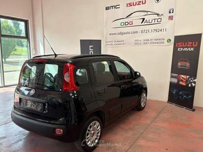 Fiat Panda Serie3 benz.1.2 CV69 per NEOPATENTATI K usata Montelabbate