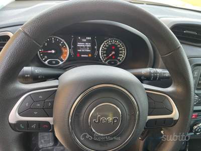 Jeep Renegade 4WD Active Drive Sport usata Martinsicuro