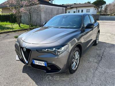 Alfa Romeo Stelvio Stelvio my23 2.2 td Super Q4 210cv auto -  GP936FN Grigio usata Basiliano