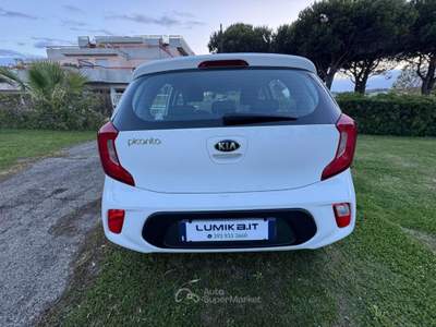 Kia Picanto 5 Porte Picanto 1.0 mpi Active my18 usata Grottammare