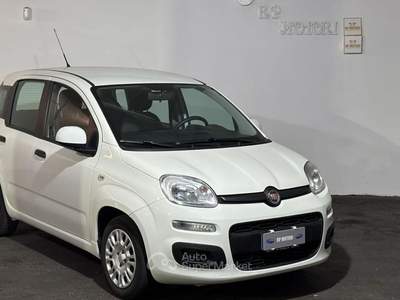Fiat Panda EasyPower City Life Bianco usata Cardito