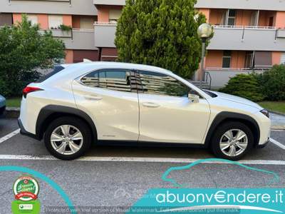 Lexus UX UX Hybrid Business UNICO PROPRIETARIO TAGLIANDATA Bianco usata Corbetta
