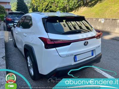 Lexus UX UX Hybrid Business UNICO PROPRIETARIO TAGLIANDATA Bianco usata Corbetta
