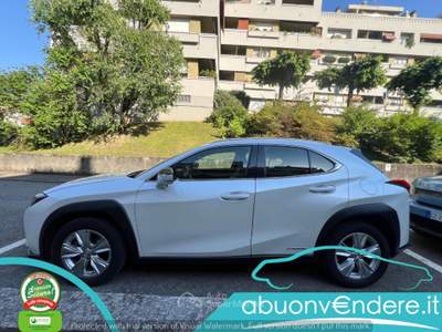 Lexus UX UX Hybrid Business UNICO PROPRIETARIO TAGLIANDATA Bianco usata Corbetta