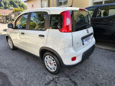 Fiat Panda 1.0 FireFly S&S Hybrid UNICO PROPRIETARIO Bianco usata Varallo