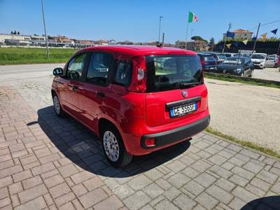 Fiat Panda 1.2 EasyPower Easy Rosso usata Civitanova Marche