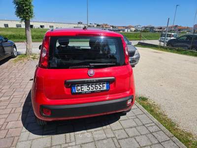 Fiat Panda 1.2 EasyPower Easy Rosso usata Civitanova Marche