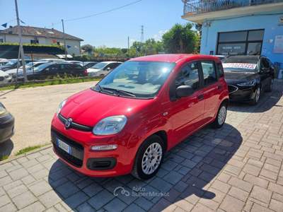 Fiat Panda 1.2 EasyPower Easy Rosso usata Civitanova Marche