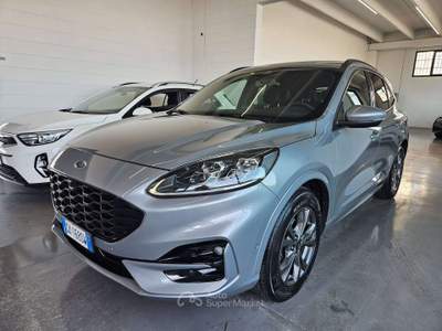 Ford Kuga 2.0 ecoblue ST-Line X 190cv AUTOMATICO usata Martinengo