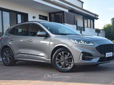 Ford Kuga EcoBlue Hybrid 150 CV 2WD ST-Line usata MODICA