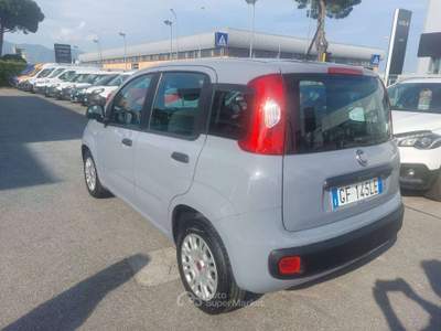 Fiat Panda 1.2 EASY BENZINA 69CV Grigio usata Pisa