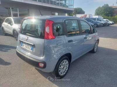 Fiat Panda 1.2 EASY BENZINA 69CV Grigio usata Pisa