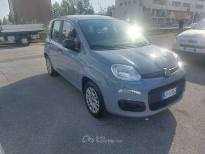Fiat Panda 1.2 EASY BENZINA 69CV Grigio usata Pisa