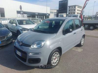 Fiat Panda 1.2 EASY BENZINA 69CV Grigio usata Pisa