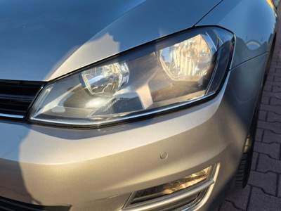 Volkswagen Golf Variant 1.6 TDI 110cv garantita 12 mesi Argento usata Gemona del Friuli
