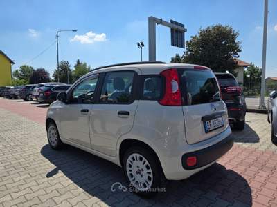 Fiat Panda Pop Beige usata Gemona del Friuli